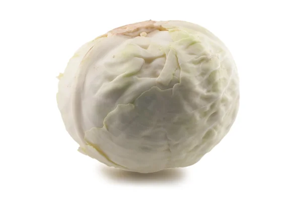 stock image Cabbage