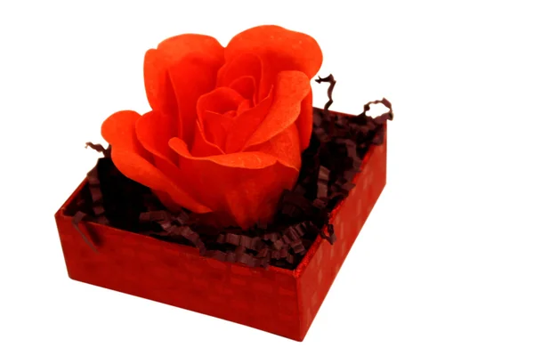 Stock image Flower in box