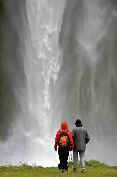 Islande cascade — Photo
