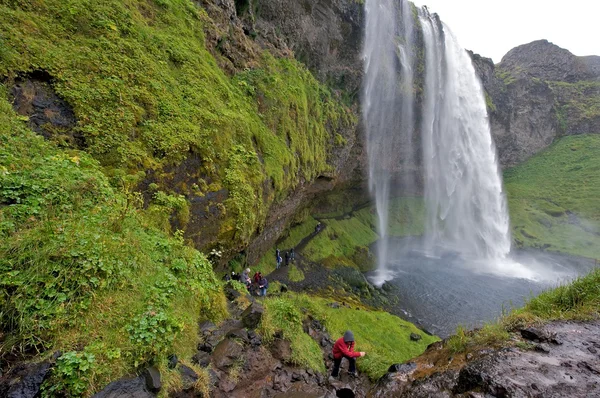 IJsland waterval Stockfoto