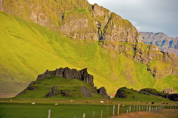 Ісландія Стокове Фото