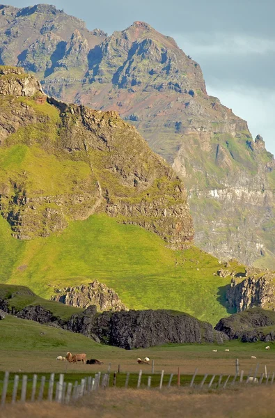Islanda fattorie e montagne Foto Stock Royalty Free