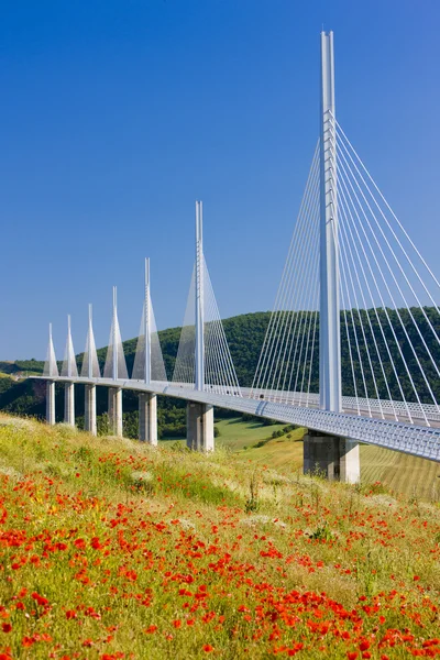 Millau Viaduct — 스톡 사진