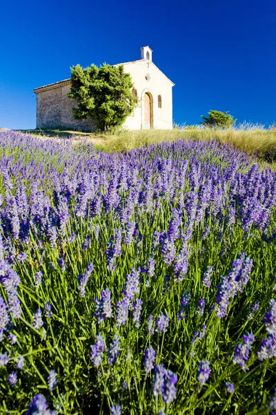 Kapel met Lavendel veld — Stockfoto