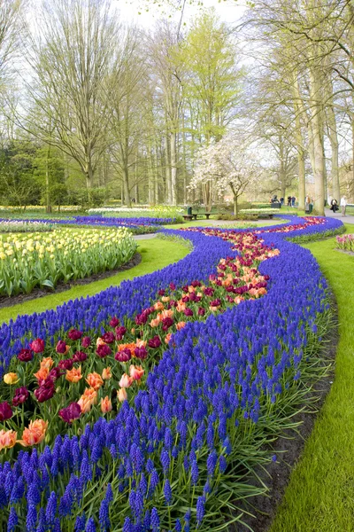 Keukenhof Gardens, Lisse, Netherlands — Stock Photo, Image