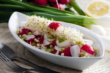 Radish salad clipart