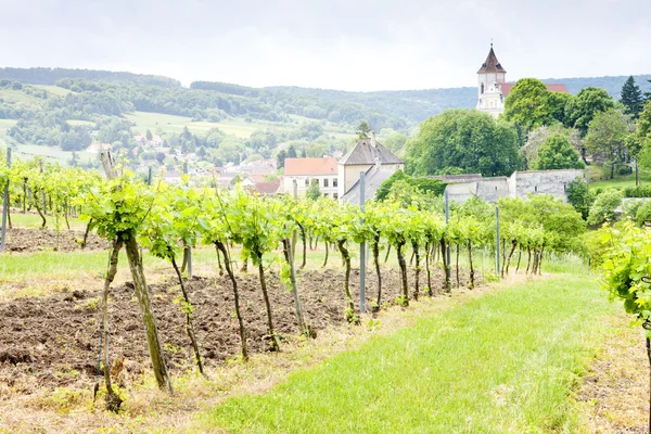 Виноградники Австрии — стоковое фото