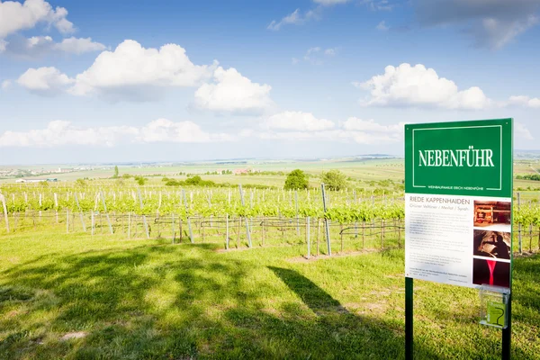 Vineyard in Austria — Stock Photo, Image