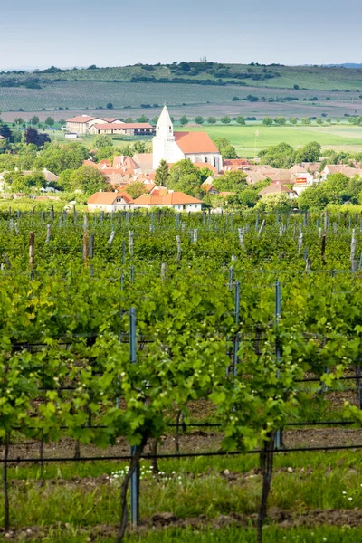 Виноградники Австрии — стоковое фото