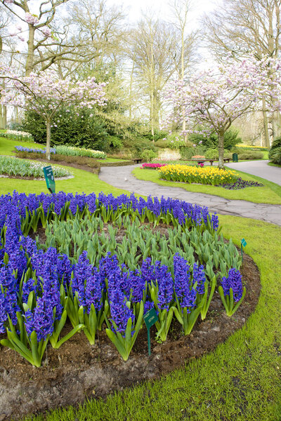 Keukenhof Gardens