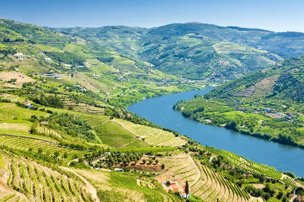 Valle del Douro Immagine Stock
