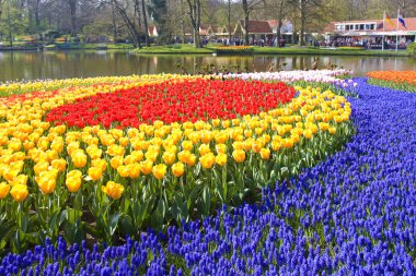 Keukenhof Gardens clipart