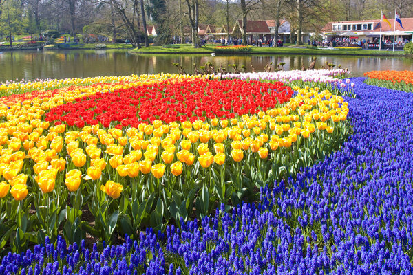 Keukenhof Gardens