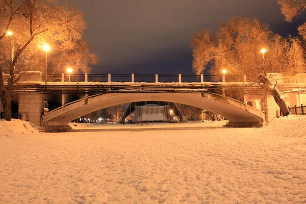 公園内の橋は — ストック写真