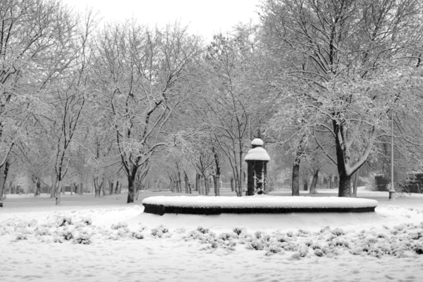 Winter im Park — Stockfoto