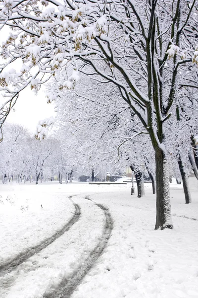 Strada invernale in parco — Foto Stock