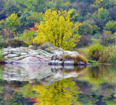 Nehri yakınında sonbahar ağacı