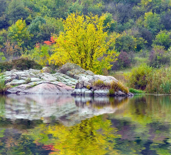 Höstens träd nära floden — Stockfoto