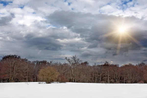 Dark winter clouds over forest — Stock Photo, Image