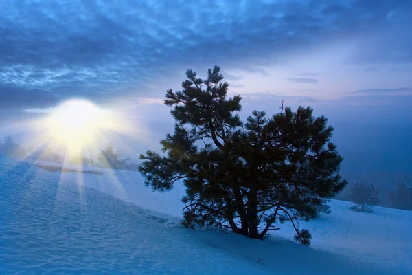 Закат в горах зимой — стоковое фото