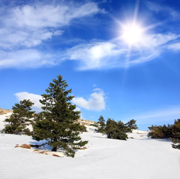 Zima v karmínových horách — Stock fotografie