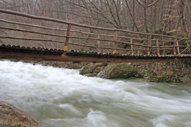 Small bridge over mountain stream clipart