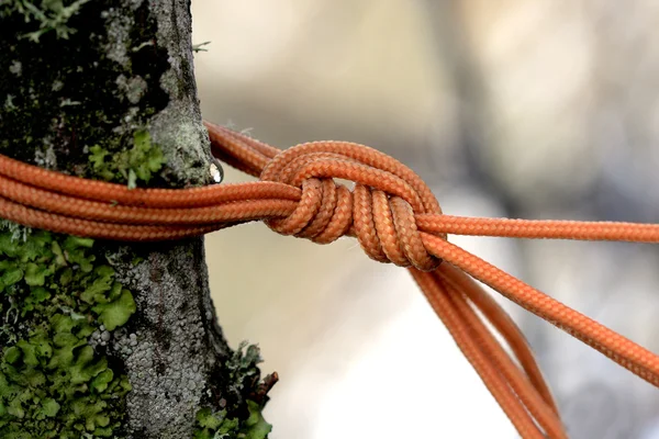 The orange rope knon — Stock Photo, Image
