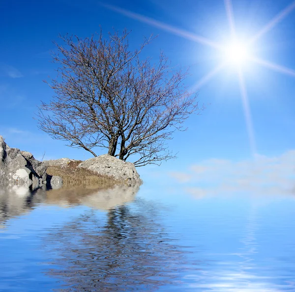 Jezero scénu s a slunce — Stock fotografie