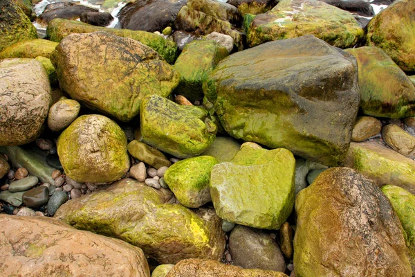 Steine in Meeresnähe — Stockfoto
