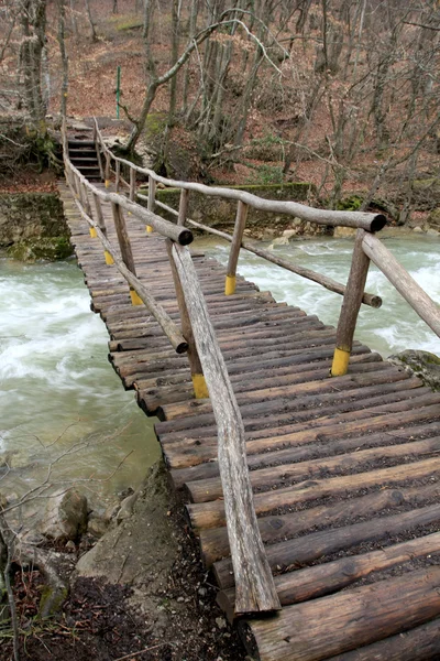 Ponte sul torrente di montagna — Foto Stock