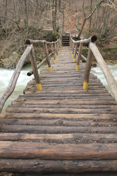 Pont sur la rivière de montagne — Photo