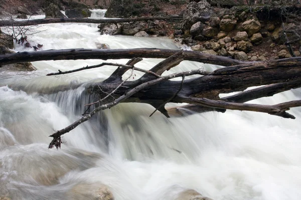 stock image Mountain river