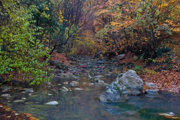 Paysage d'automne avec rivière de montagne — Photo