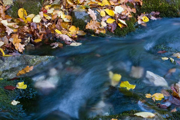 Mooie herfst stream — Stockfoto