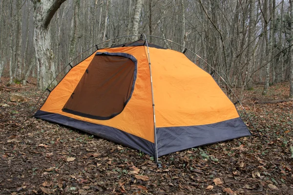 Желтая туристическая палатка в лесном лагере — стоковое фото