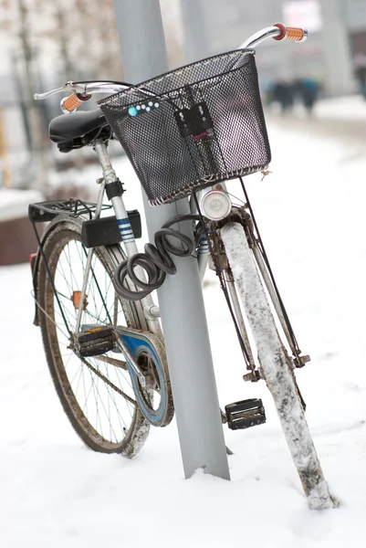 고정된 자전거 — 스톡 사진