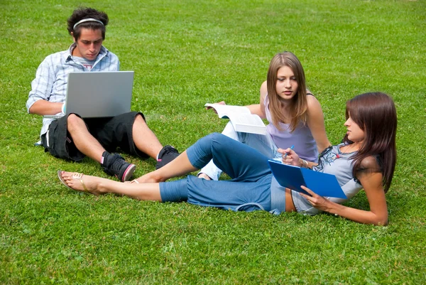 Drie studenten studeren buiten — Stockfoto