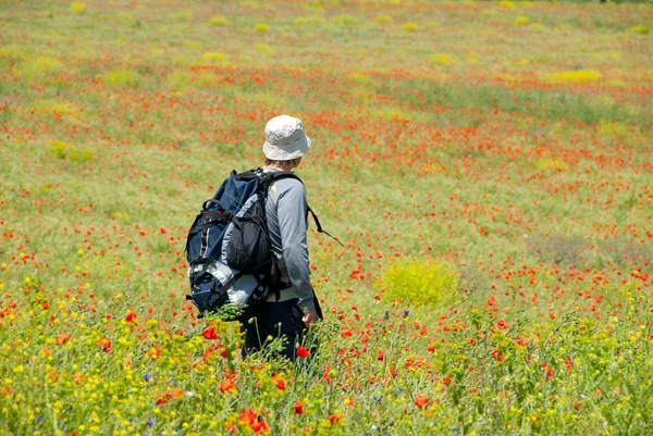 快乐徒步旅行者在罂粟的字段上 — 图库照片