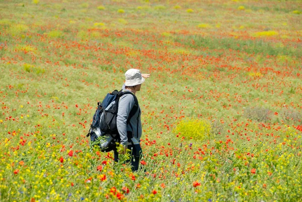 Happy hiker on a poppy field — Stock Photo, Image