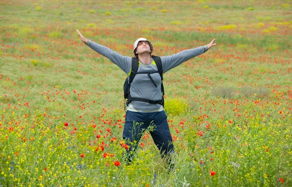 Счастливый турист на маковом поле — стоковое фото