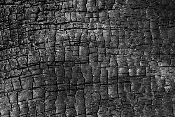 Verbrand hout textuur — Stockfoto