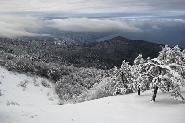 stock image Snowy mountain