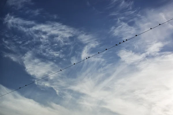 stock image Birds sitting on a cord against the sky