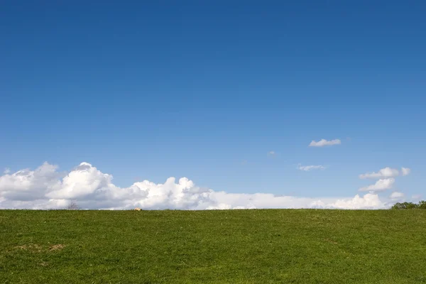 Green meadow and the sky — Stock Photo, Image