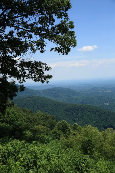 Blue Ridge Mountains - Virginia — Zdjęcie stockowe