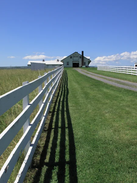 Фермерский дом, забор и поле — стоковое фото