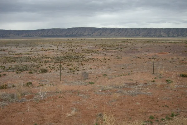 Route 66 - sivatagi táj — Stock Fotó