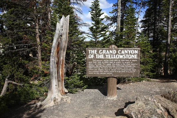옐로스톤 국립 공원 — 스톡 사진