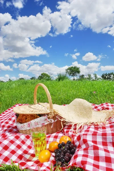 Piknik — Stock Fotó