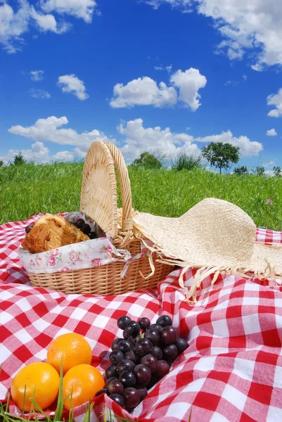 Picknick — Stockfoto